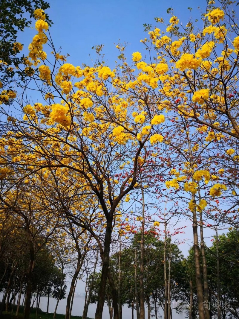 疫情下，关于行业与生活的几点思考